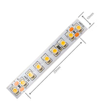 5m 24V Single Color LED-Streifen 9,6W/m 140 LEDs/m 10mm