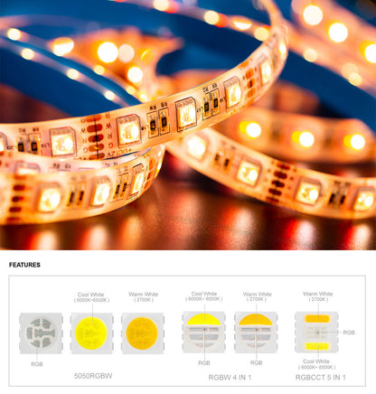 4 in 1 RGB-CW 12V, 30 LEDs/m, 5 Meter