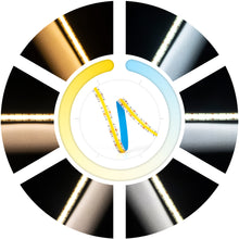 COB CCT LED Strip 24V 5m